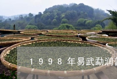 1998年易武勐润普洱茶饼/2023052840462