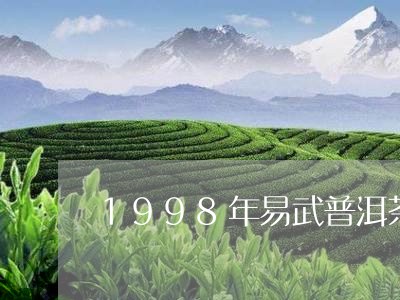 1998年易武普洱茶/2023101755271