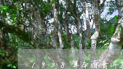 1998年本源普洱茶/2023093069592