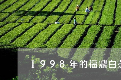 1998年的福鼎白茶/2023120755947