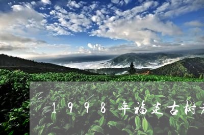 1998年福建古树老白茶/2023080172818