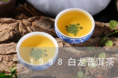 1998白龙普洱茶/2023091520591