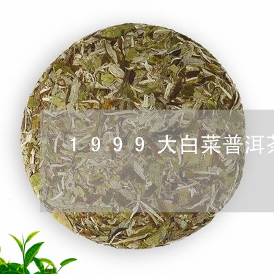 1999大白菜普洱茶/2023093034147