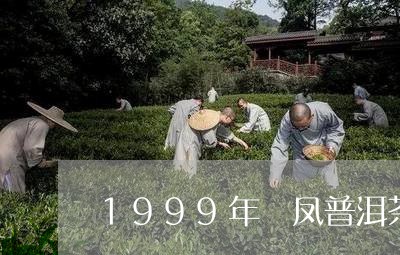 1999年徳凤普洱茶/2023080250823