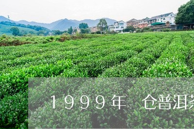 1999年陳仓普洱茶/2023080181724