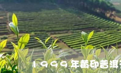 1999年黄印普洱茶/2023080258593