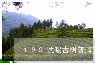 199试喝古树普洱茶/2023102417148