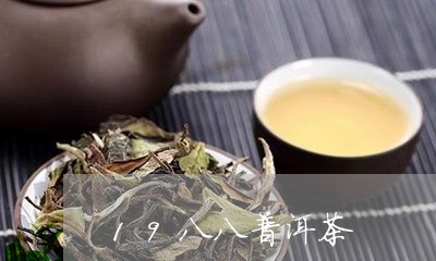 19八八普洱茶/2023112664837