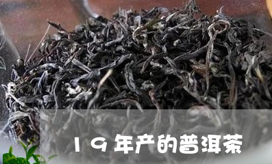 19年产的普洱茶/2023082846359