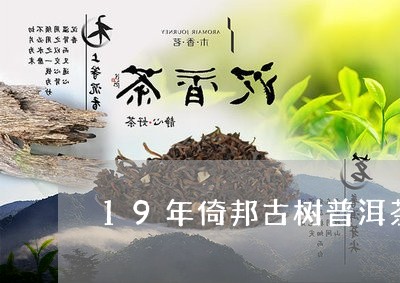 19年倚邦古树普洱茶/2023111031794