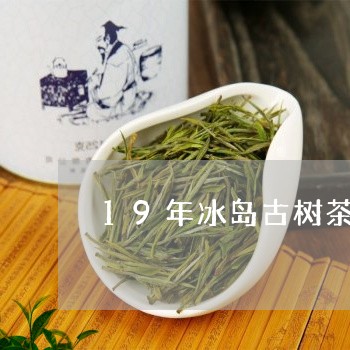 19年冰岛古树茶价格/2023092262824