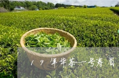 19年华茶一号寿眉/2023120425169