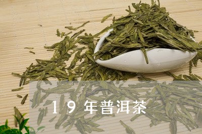 19年普洱茶/2023042727141