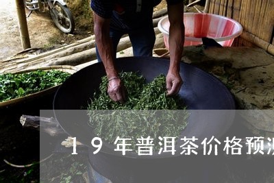 19年普洱茶价格预测/2023080245278