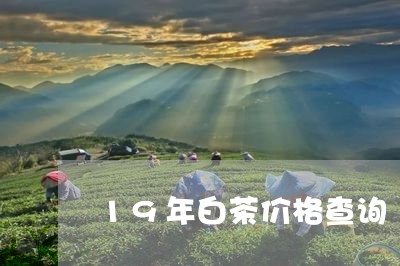 19年白茶价格查询/2023071322806