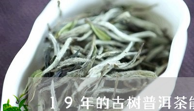 19年的古树普洱茶能喝吗/2023082718705