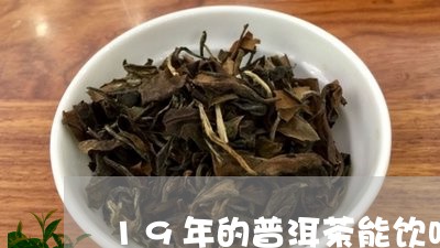 19年的普洱茶能饮吗/2023092776949