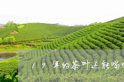 19年的茶叶还能喝吗/2023071690695