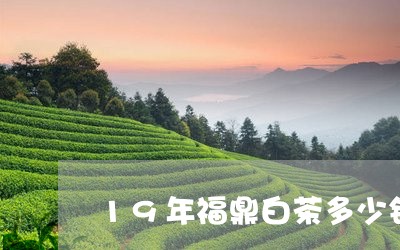 19年福鼎白茶多少钱/2023120828584