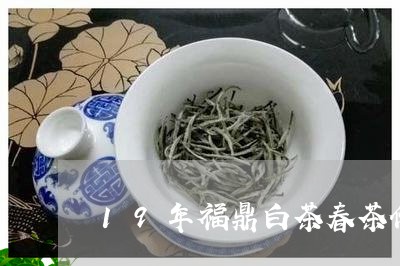 19年福鼎白茶春茶价格/2023092296373