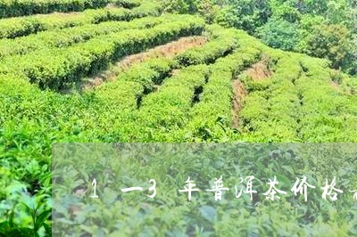 1一3年普洱茶价格表/2023072246350