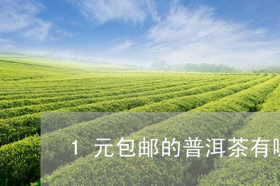 1元包邮的普洱茶有哪些/2023103104928