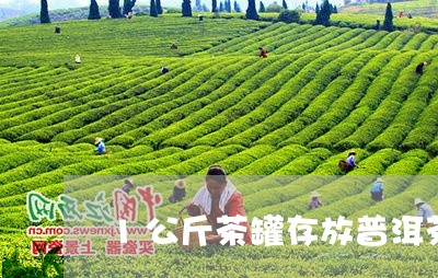 1公斤茶罐存放普洱茶/2023092912815