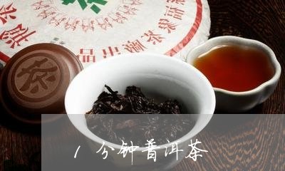 1分钟普洱茶/2023081813017