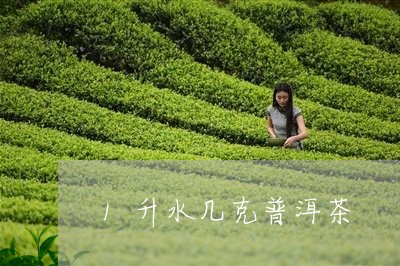 1升水几克普洱茶/2023081675970