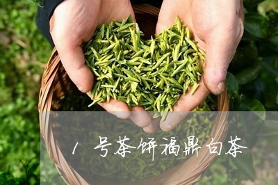 1号茶饼福鼎白茶/2023082693826