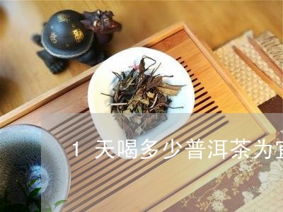 1天喝多少普洱茶为宜/2023120727151