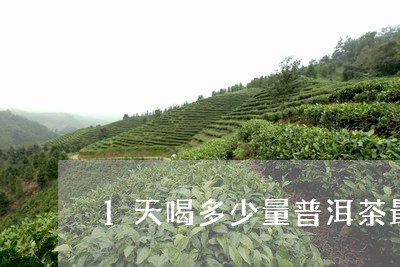 1天喝多少量普洱茶最好/2023050551473