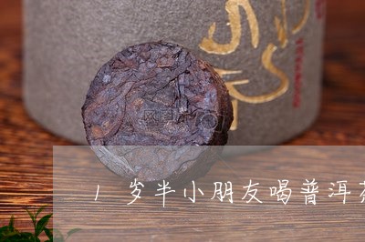 1岁半小朋友喝普洱茶/2023061821705