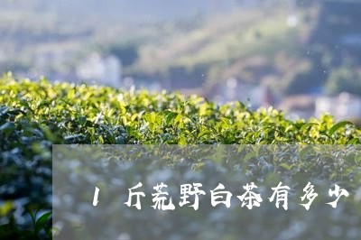 1斤荒野白茶有多少/2023111659161