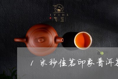 1米秒佳茗印象普洱茶/2023062324178