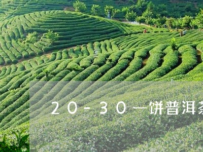 20-30一饼普洱茶/2023072417159