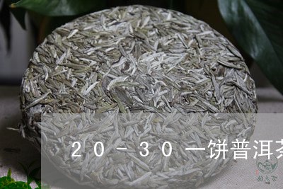 20-30一饼普洱茶/2023092837270