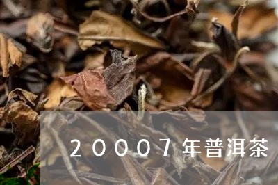 20007年普洱茶/2023091415735