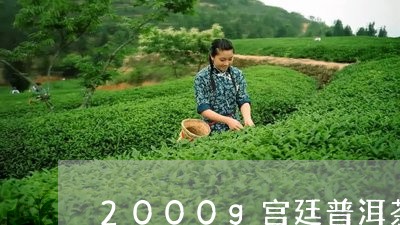 2000g宫廷普洱茶/2023100615846