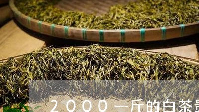 2000一斤的白茶贵不贵呢图片/2023111520392