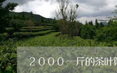 2000一斤的茶叶算不算好/2023052625041