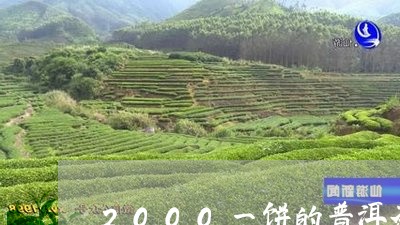 2000一饼的普洱茶/2023062386131