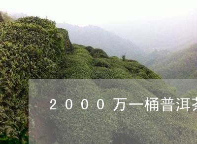 2000万一桶普洱茶/2023062835015