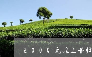 2000元以上昔归茶/2023071639393