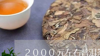 2000元左右普洱茶/2023081622925