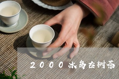 2000冰岛古树茶/2023042661795