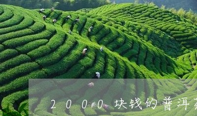 2000块钱的普洱茶/2023062187161