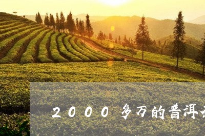 2000多万的普洱茶/2023062859373