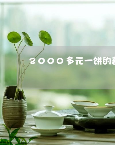 2000多元一饼的普洱茶/2023112483735