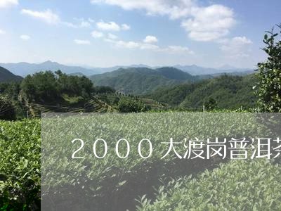 2000大渡岗普洱茶/2023100670716